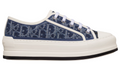 Walk'n'Dior Platform Sneaker "Blue"