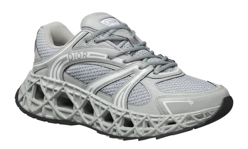 Dior B35 Nxxt "Gray"
