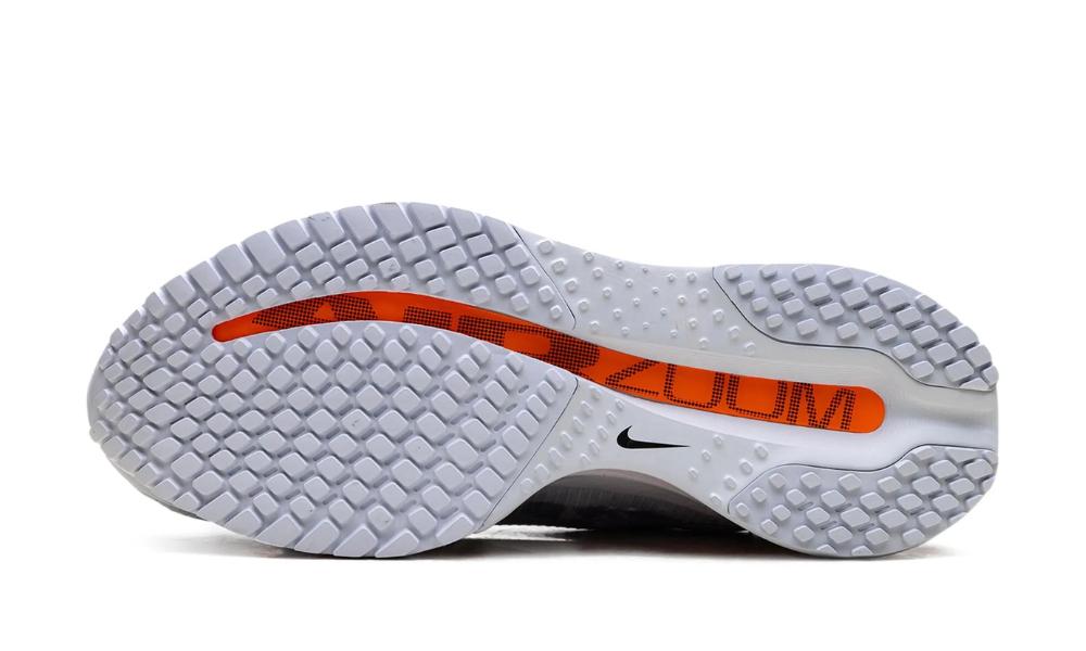 Nike Pegasus Premium "Airscape"